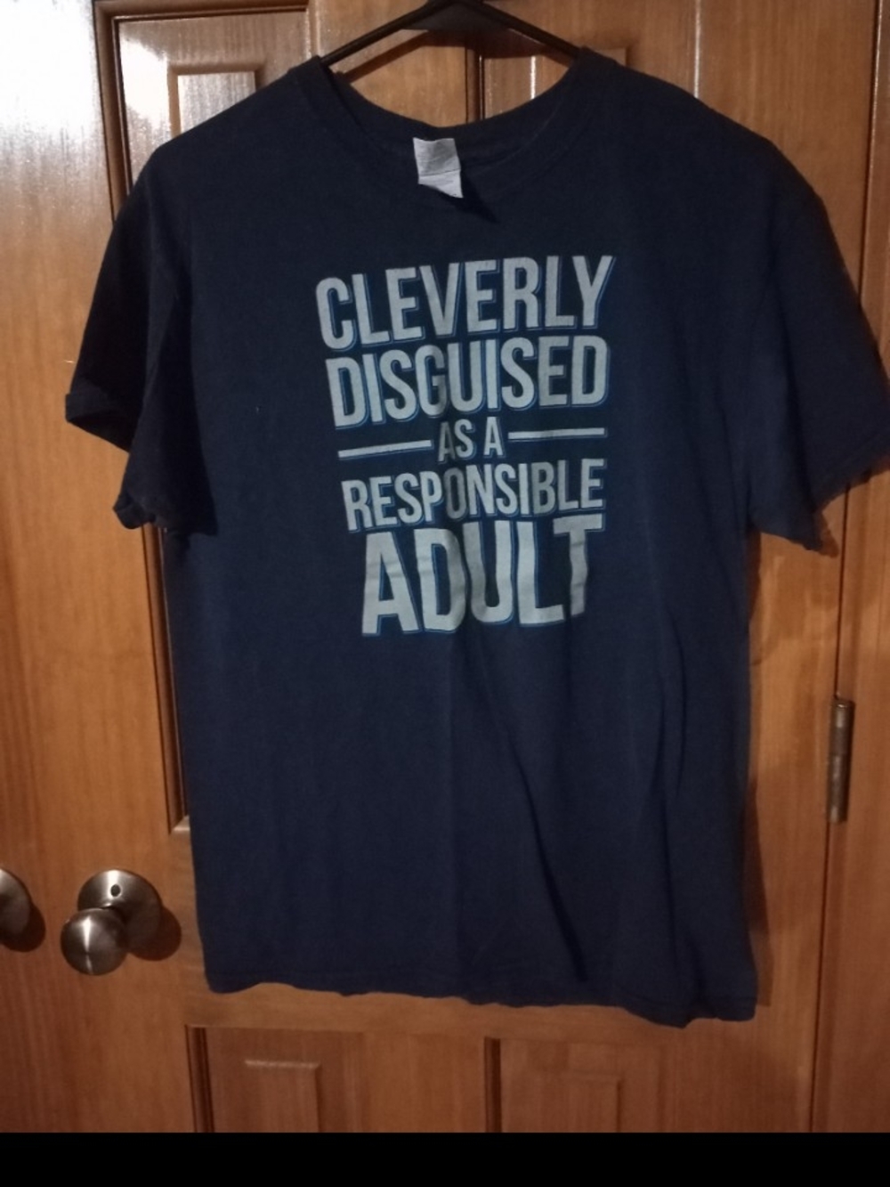 Gildan Navy Short-Sleeve Graphic Tee with Light Blue Slogan